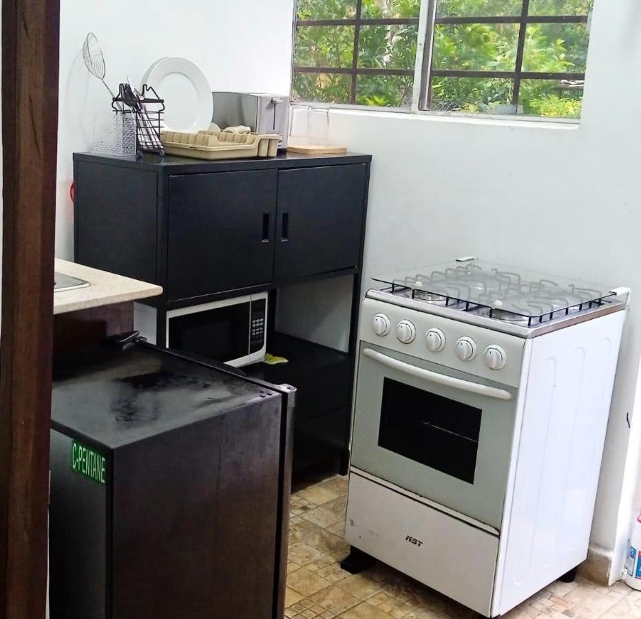 Hotel Ecologico Bluerock David Ngoại thất bức ảnh